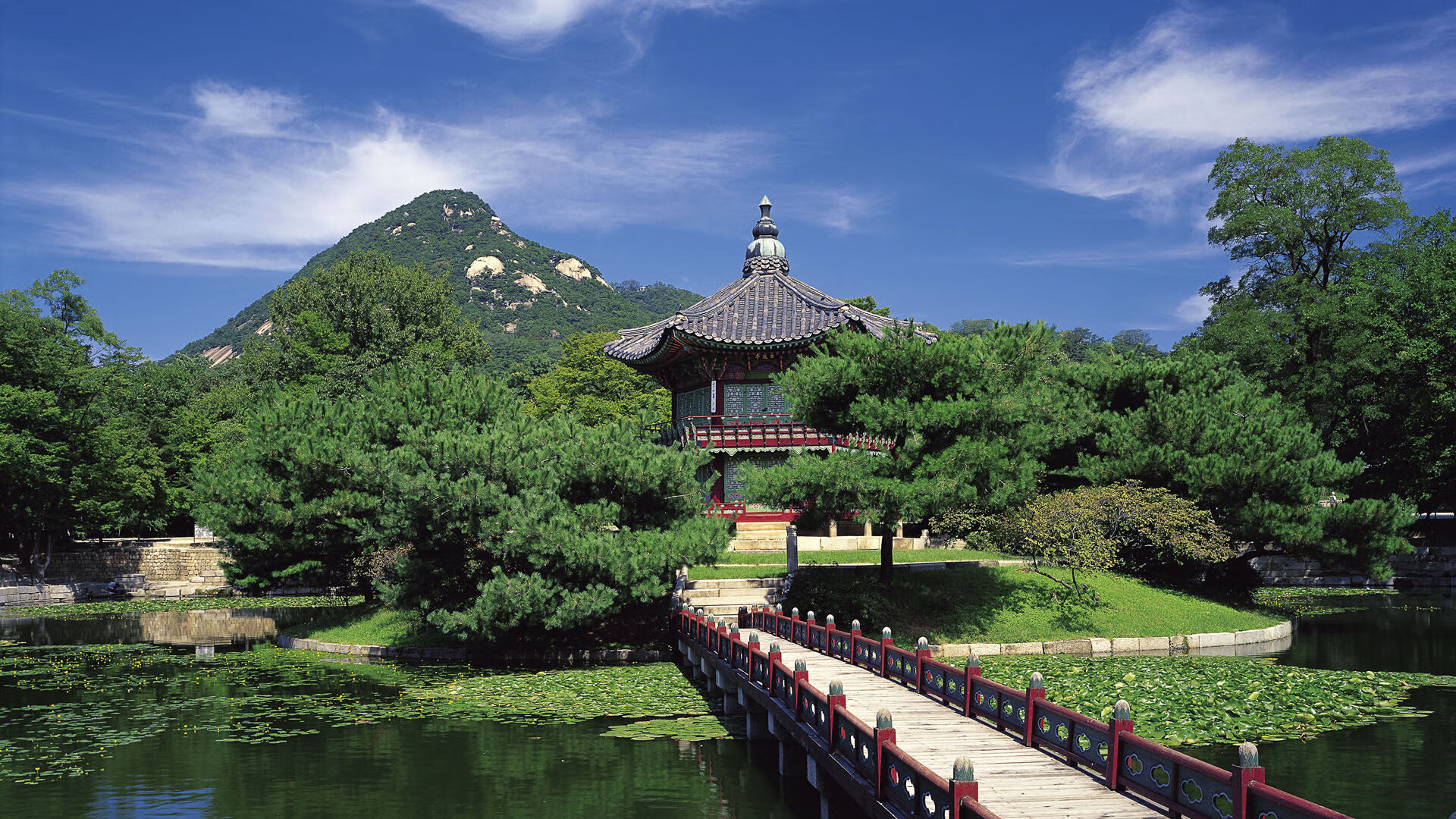 世界乒坛退役球员返乡巡讲：传承与激励并重，退役乒乓球选手